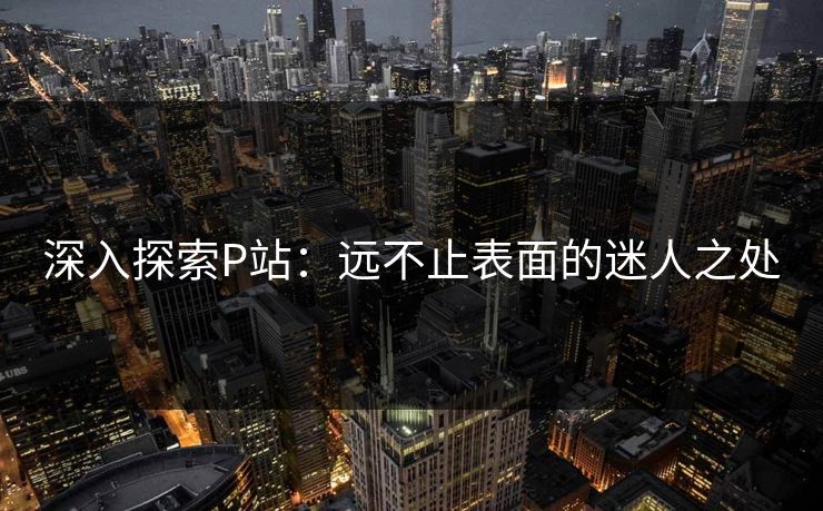 深入探索P站：远不止表面的迷人之处  第1张