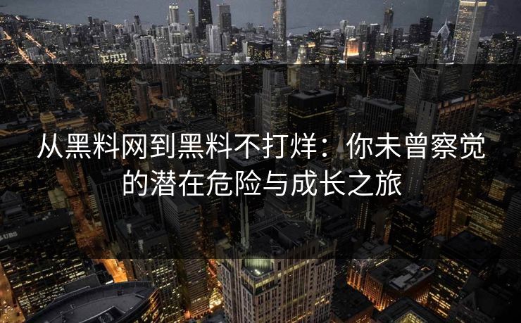 从黑料网到黑料不打烊：你未曾察觉的潜在危险与成长之旅