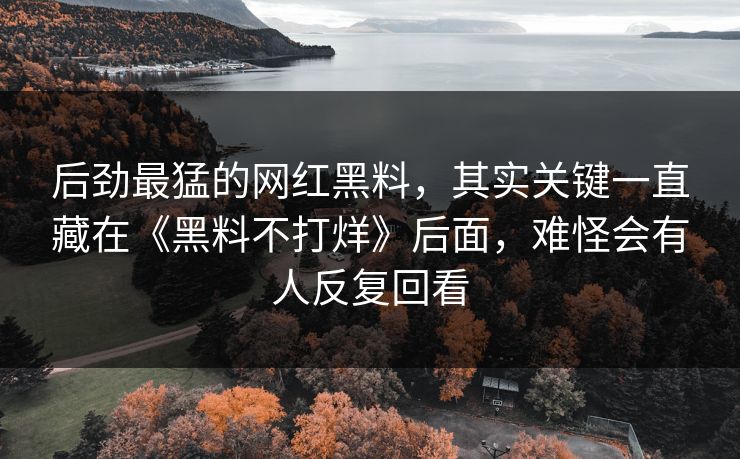 后劲最猛的网红黑料,其实关键一直藏在《黑料不打烊》后面,难怪会有人反复回看 第1张 后劲最猛的网红黑料,其实关键一直藏在《黑料不打烊》后面,难怪会有人反复回看 第1张